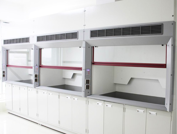 61a988f637294.jpg 01.jpg